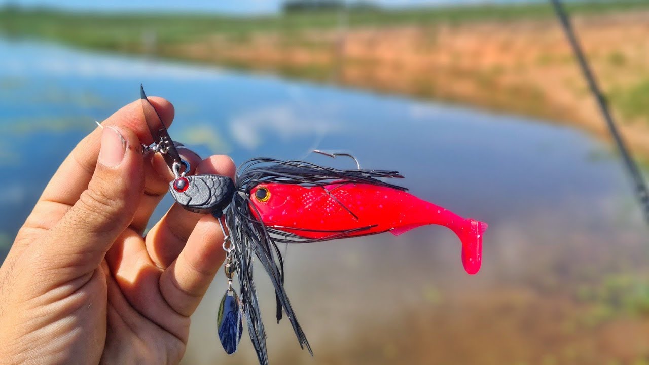 PEGANDO PEIXE CHEGOU O lançamento chatterbait VIBE hkd pesca de trairas