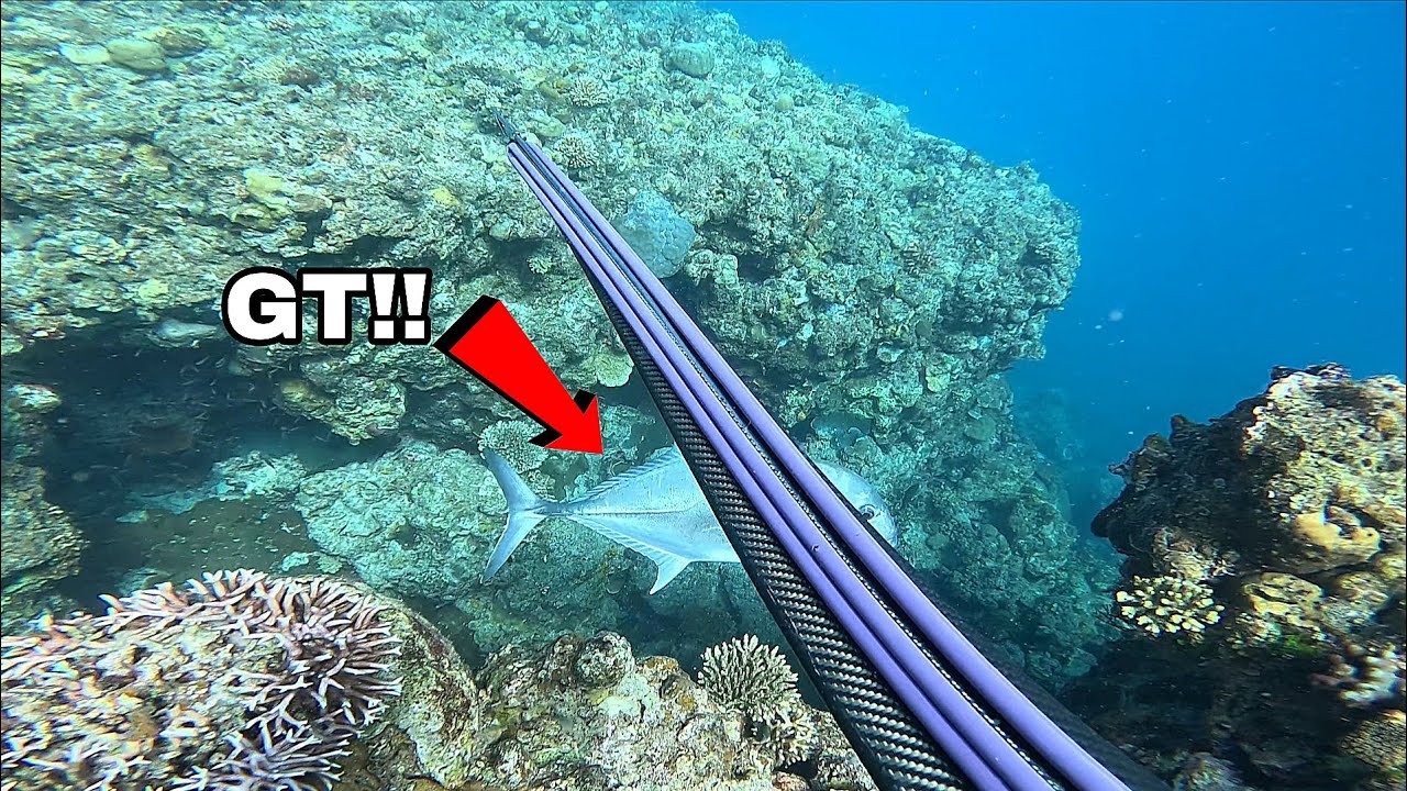 GIANT TREVALLY | GIANT FISH | SPEARFISHING PHILIPPINES #spearfishing 