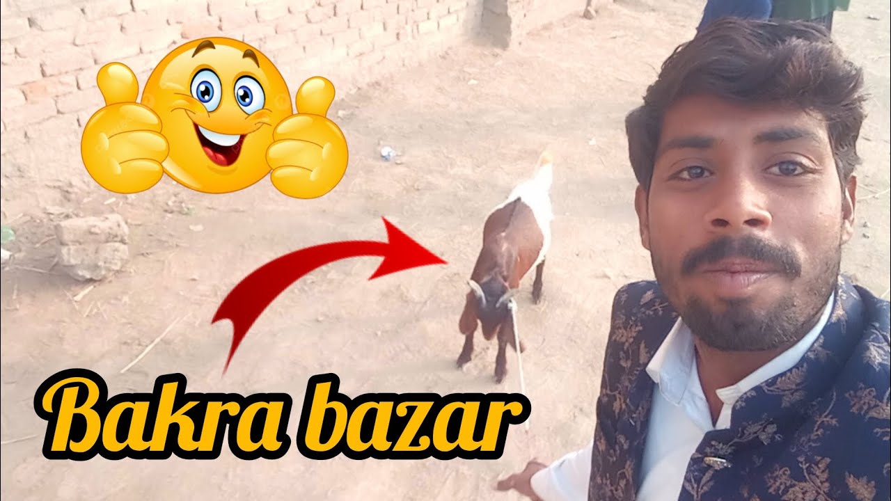 Bakra Mandi Mai bakra sell Nahi hu 😢🐐| bakra bazar Karachi sindh | Karachi bakra mandi vlog