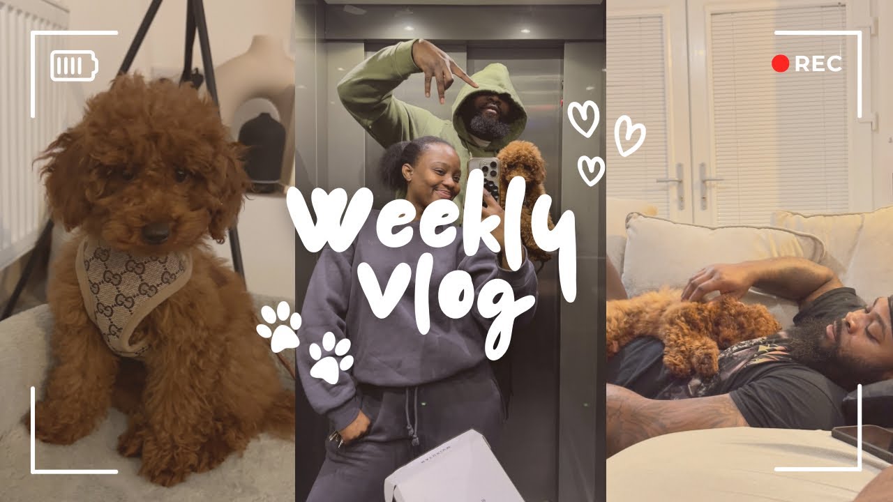 Life Lately Vlog - I got a dog and showed him to my African Mum & Pr Events