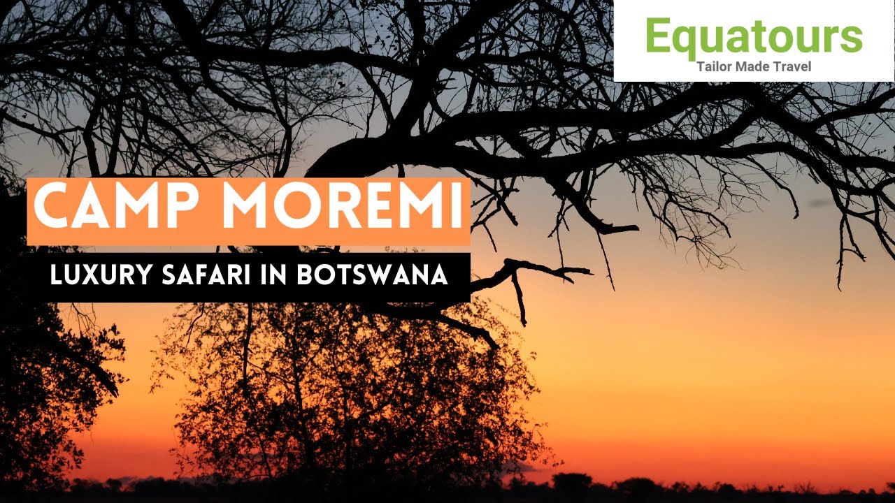 Exploring Camp Moremi: A Safari Adventure in Botswana