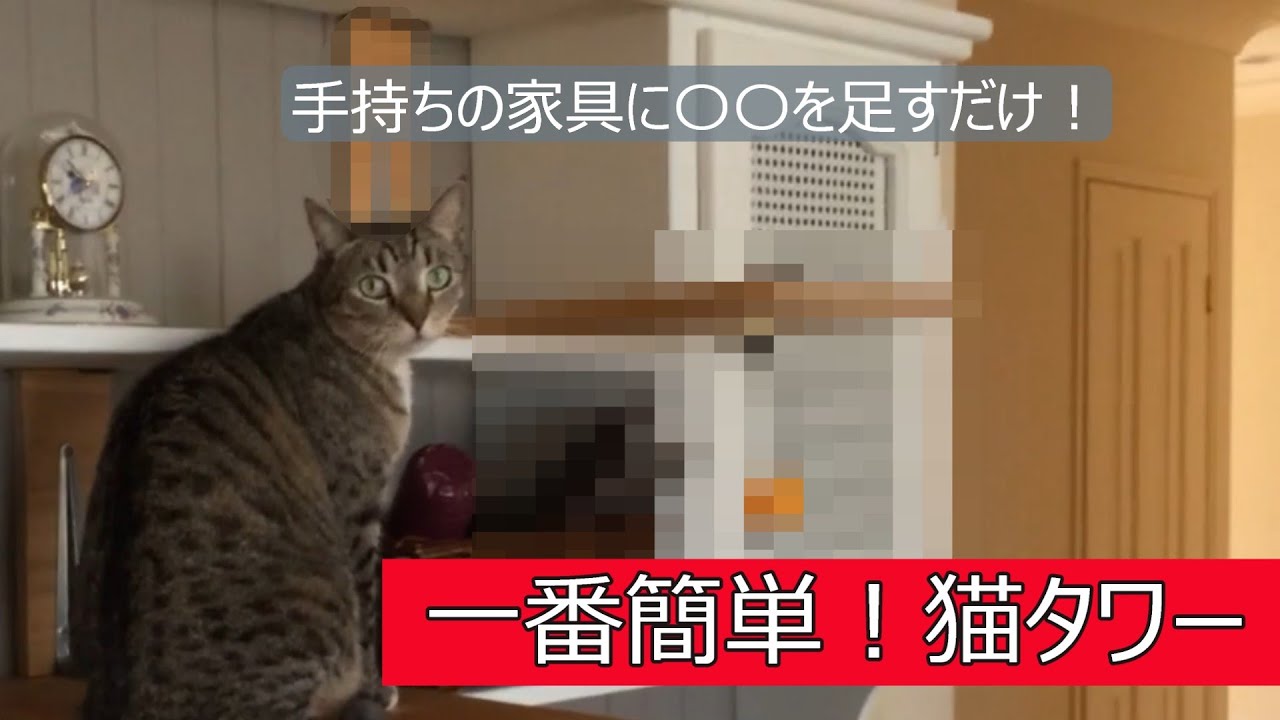 食器棚をキャットタワーに！家具を傷付けずに超簡単DIY