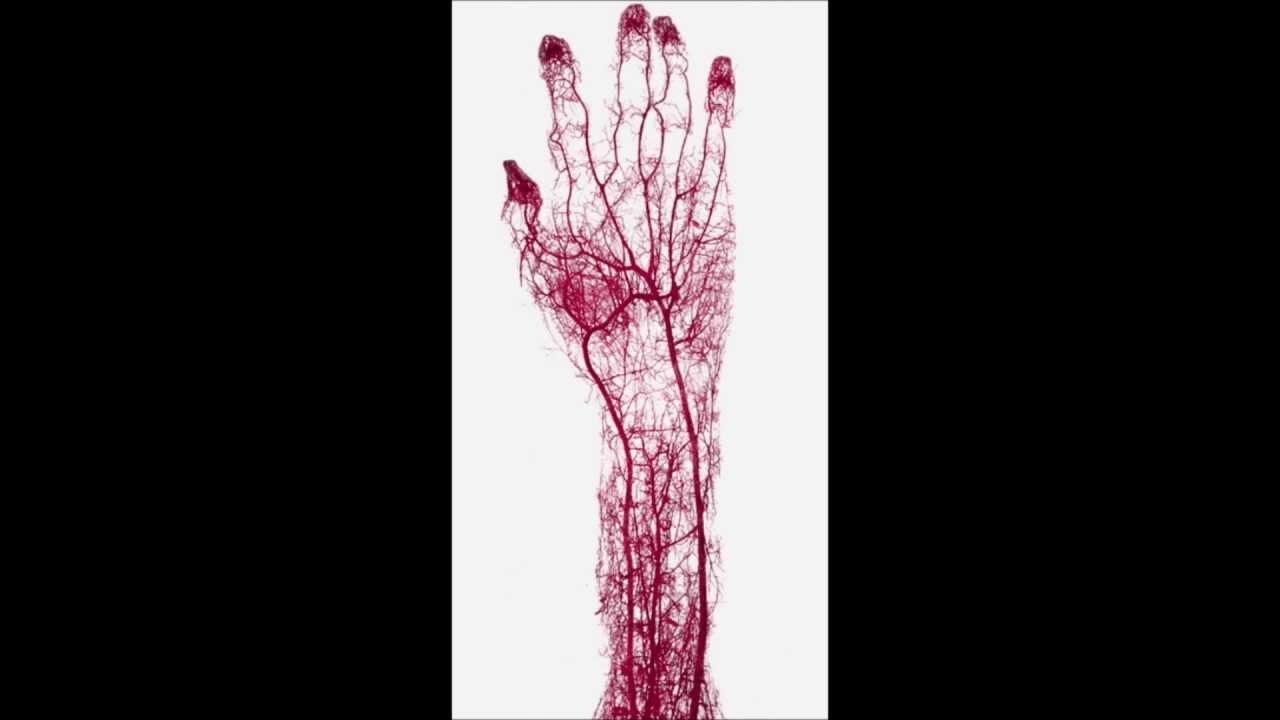 Minority Pride-Veins