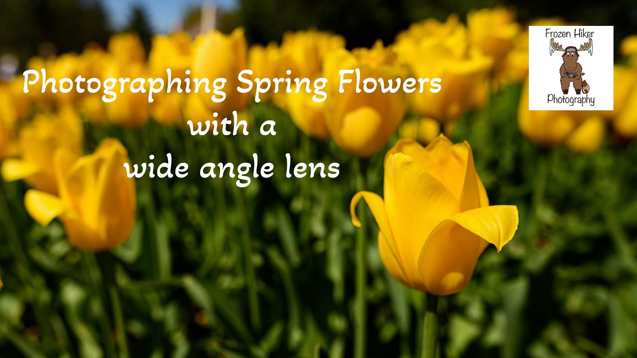 Photographing Spring Flowers with a Wide Angle Lens