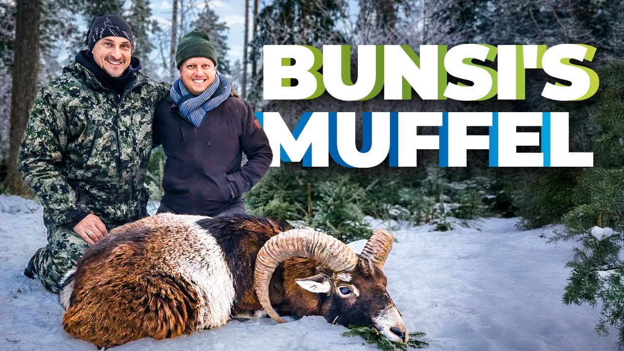 Muffeljagd - Bunsi wird zum Muffel-J&auml;ger geschlagen! #nordjagd