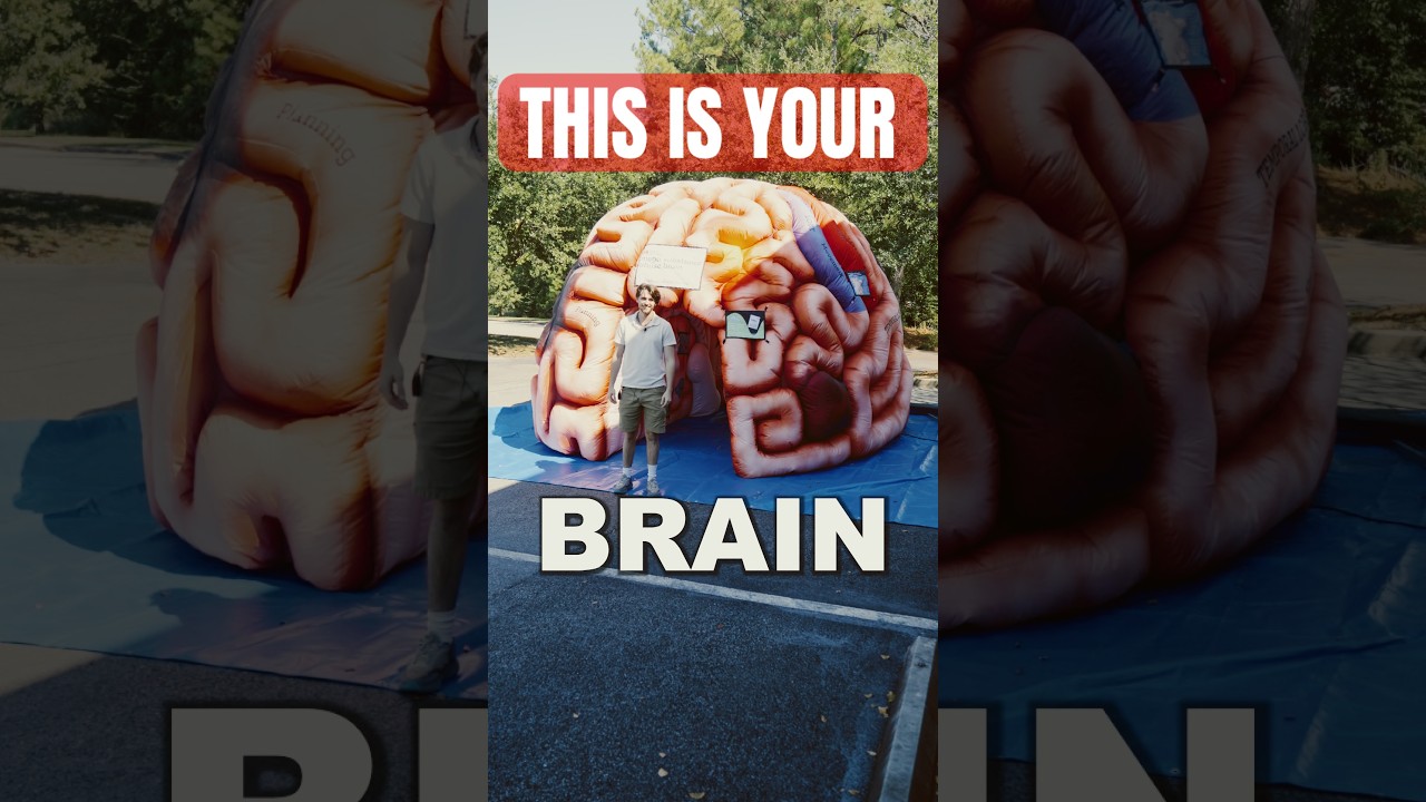This is your brain&hellip;. #drugeducation