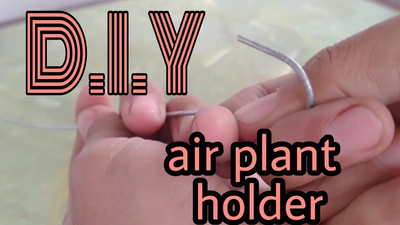 How to make Air Plant Holder||D.I.Y❤️