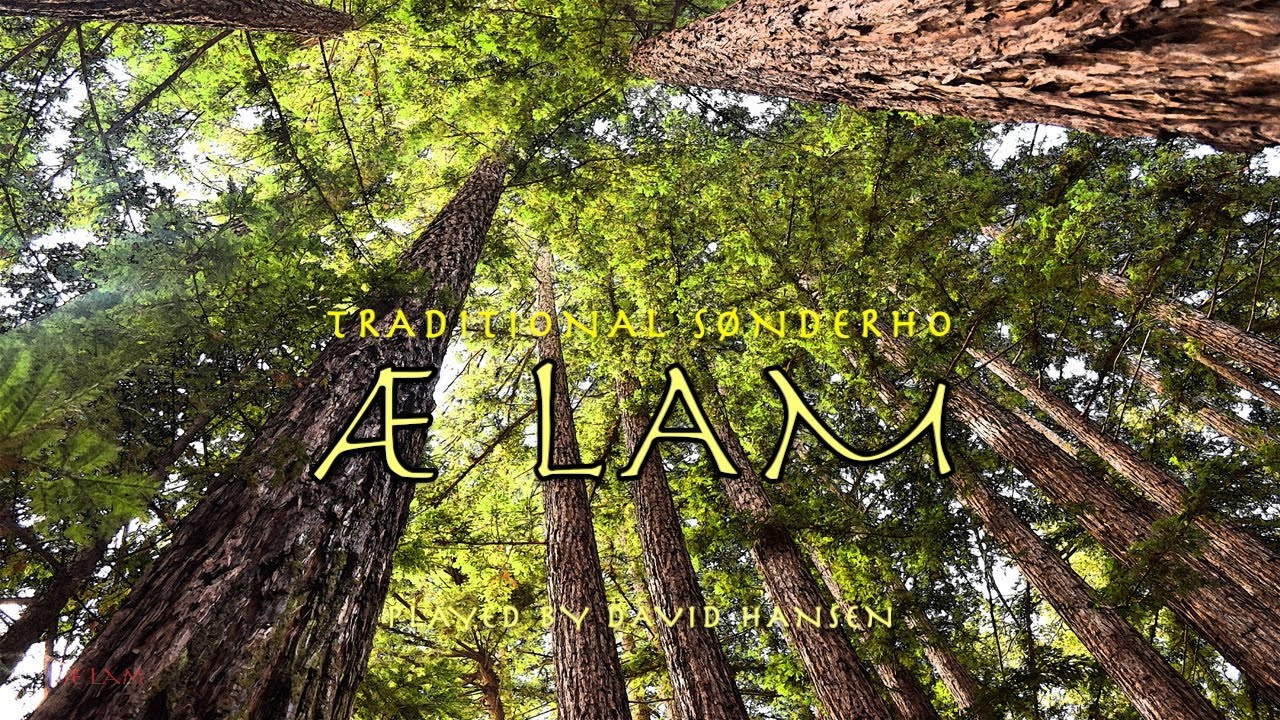 Æ Lam