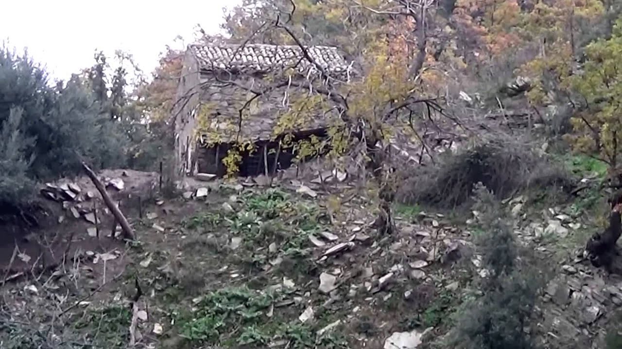 Calabria -Sila.Escursione in Sila Greca .