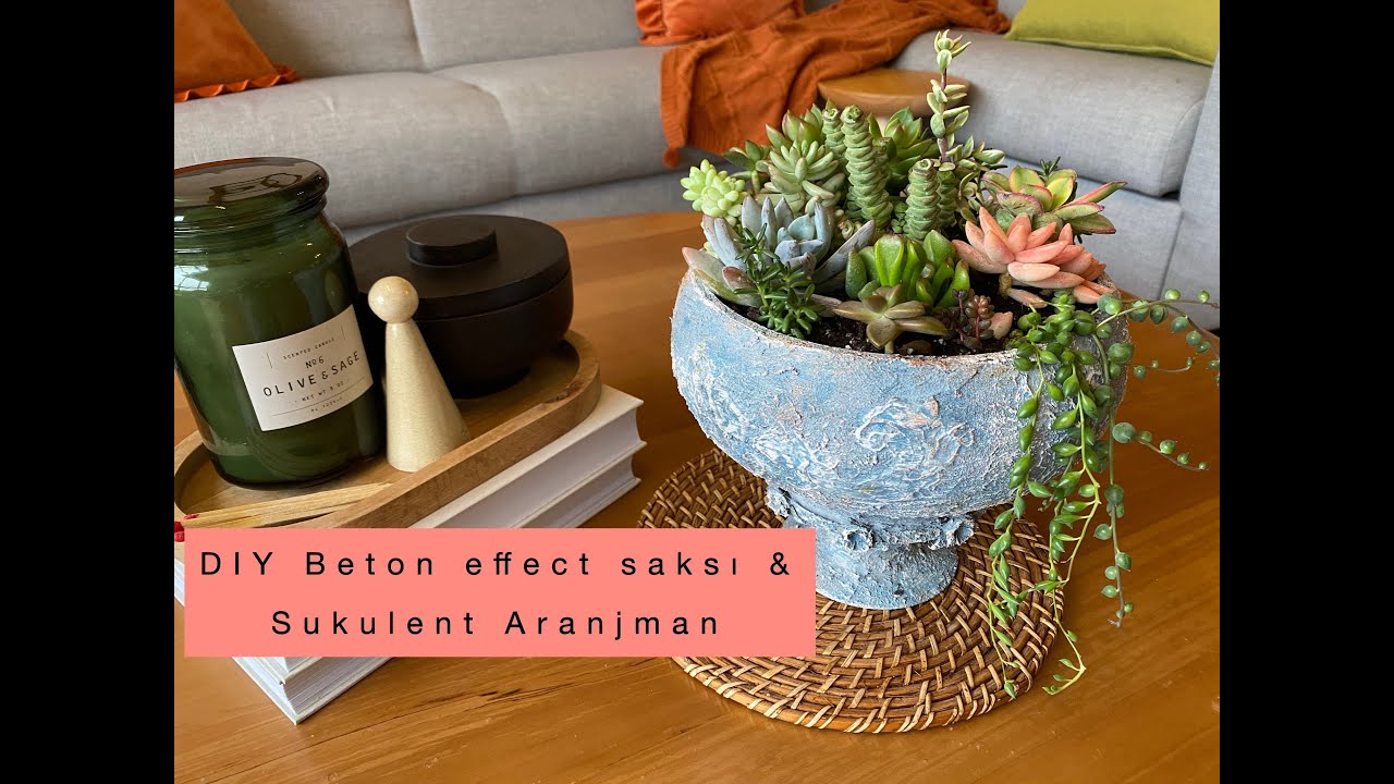 DIY Beton Görünümlü Saksı & Sukulent Aranjman Nasıl yapılır? - Detaylar Videoda!