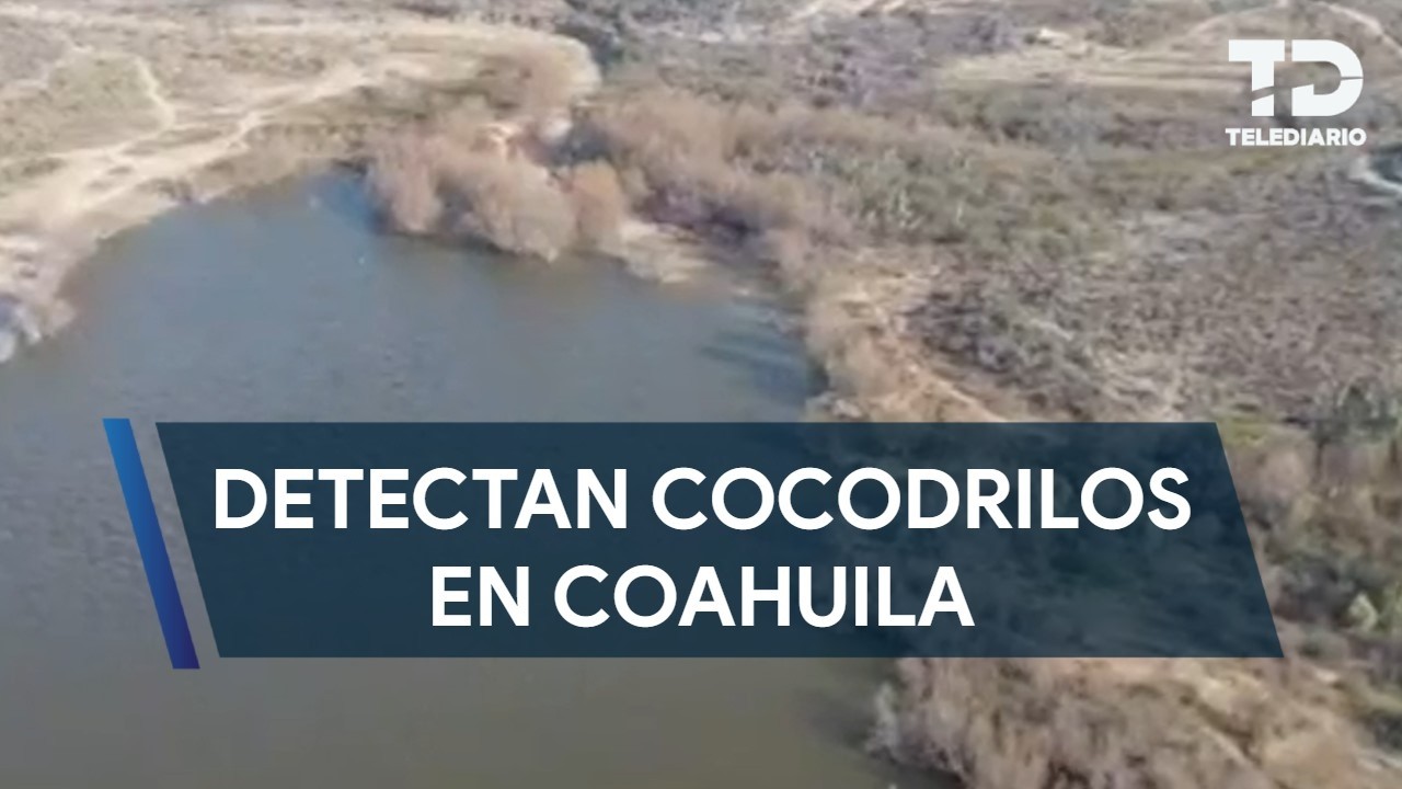 Detectan dos cocodrilos en Ramos Arizpe; restringen acceso a la presa Palo Blanco
