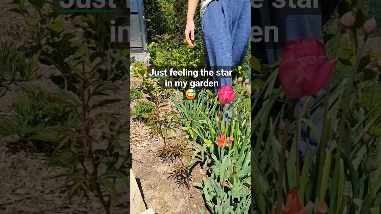 Garden star😂 My garden - my red carpet😉 #gardengirl