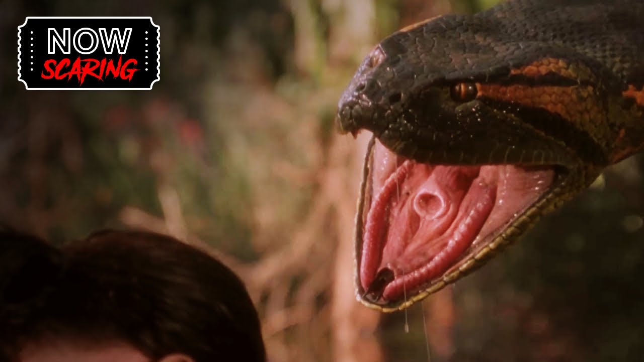 Anaconda | First Encounter