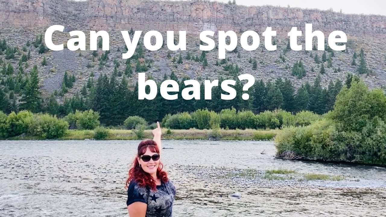 Salmon lake,Seeley Lake,Holland Lake and Swan Lake.We saw bears in Palisades Wyoming.