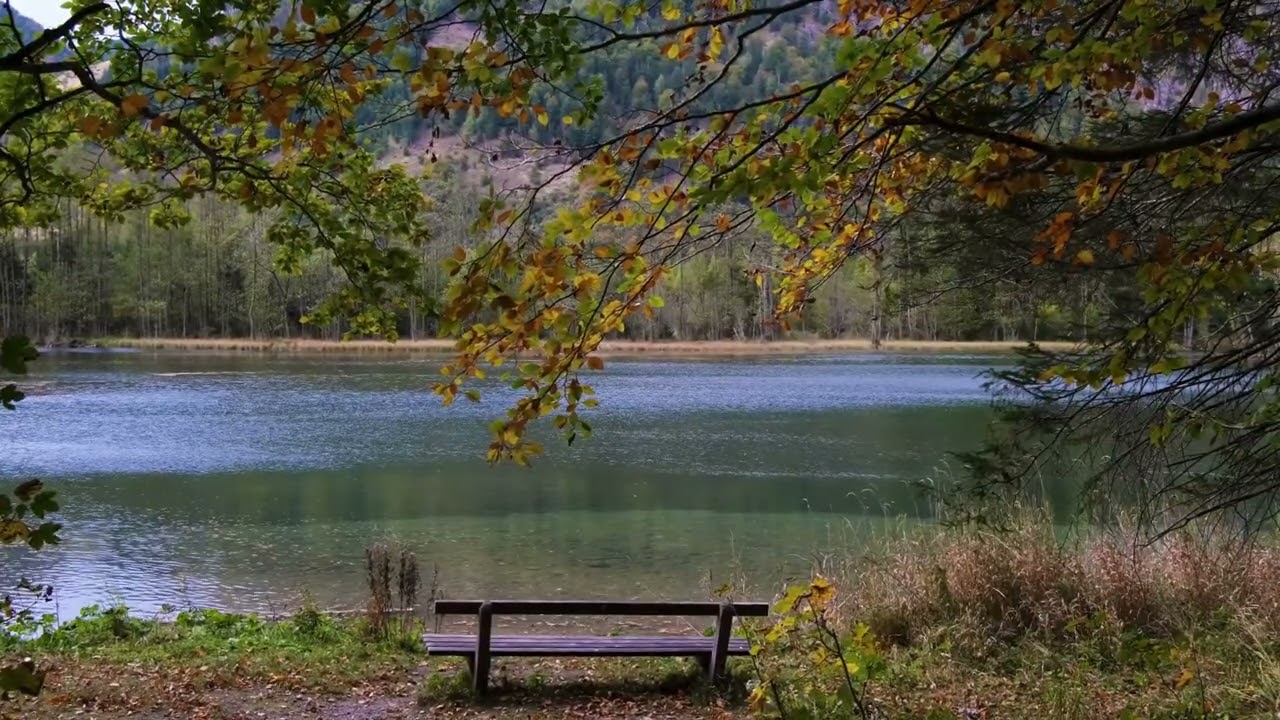 Lonely Autumn Evening Piano 🍂 | Sad & Emotional Relaxing Music for Study, Sleep & Deep Thinking