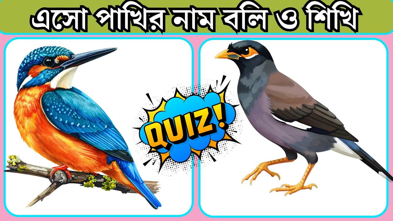 পাখির নাম বাংলা ও ইংরেজিতেবলি ও শিখি। Bangla to English bird's name