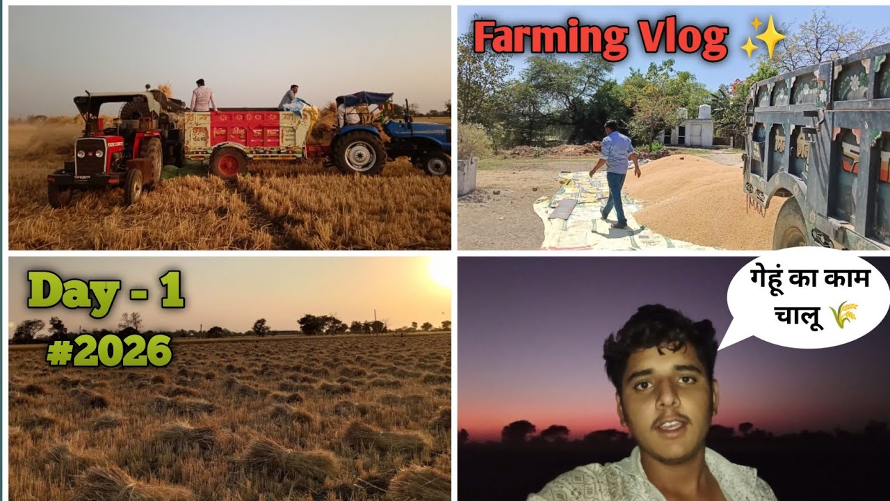 गेहूं 🌾 कटाई का काम चालू | Gehun harvesting 🚜| DAY1️⃣ | Bhagat Jat |