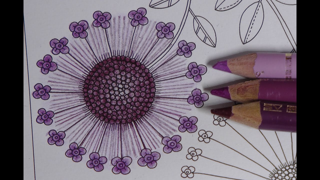 Adult Colouring Tutorial Purple Flower - from Secret Garden by Johanna Basford