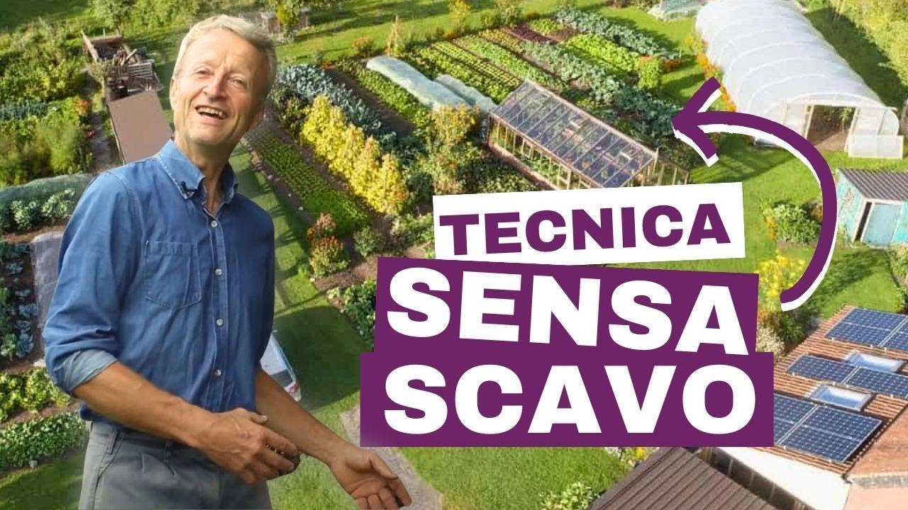 Non scavare con Charles Dowding, mostrando la sua quarta estate a Homeacres