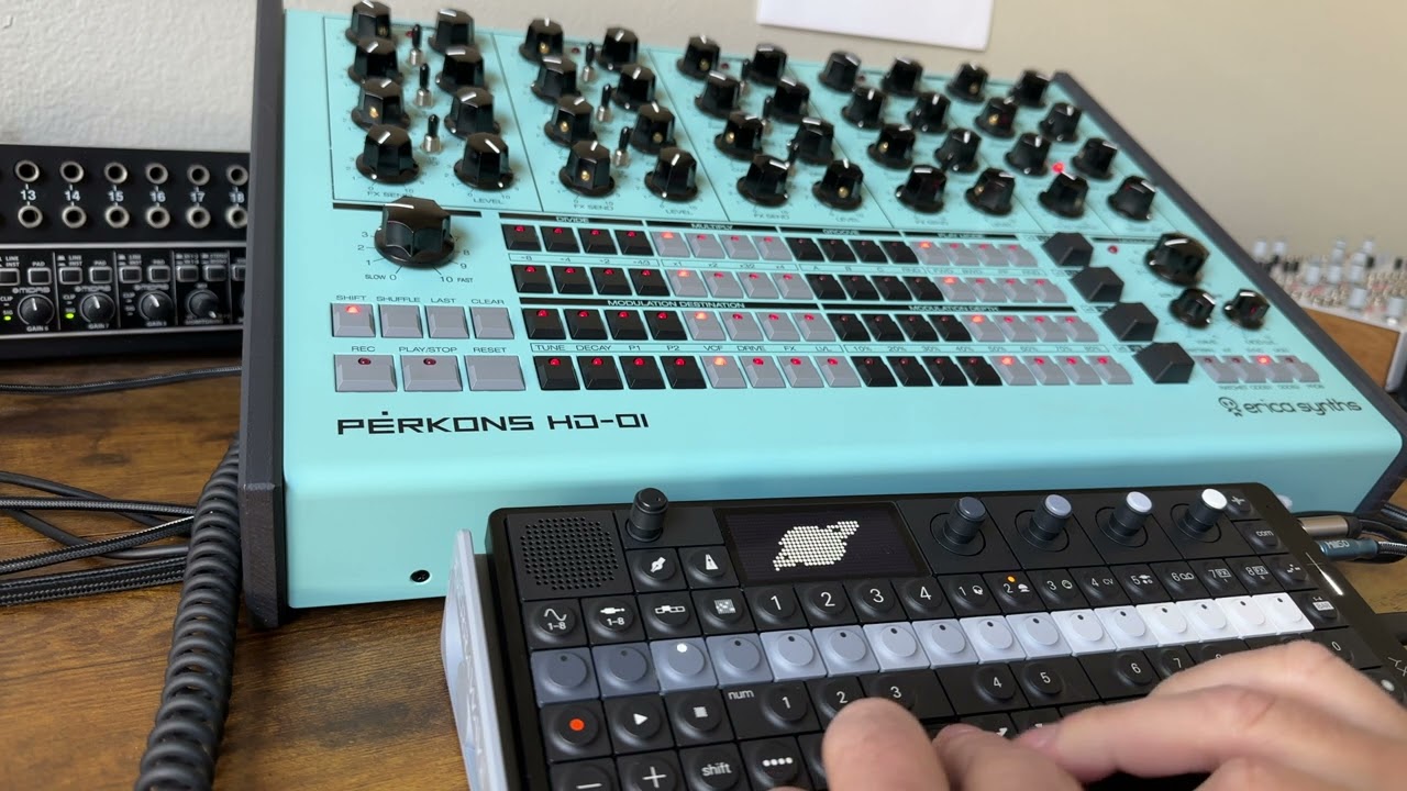 Dub Techno Jam | Perkons HD-01 meets OP-XY