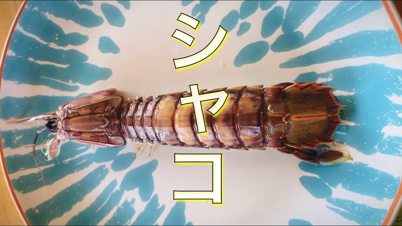 シャコ海老の食べ方