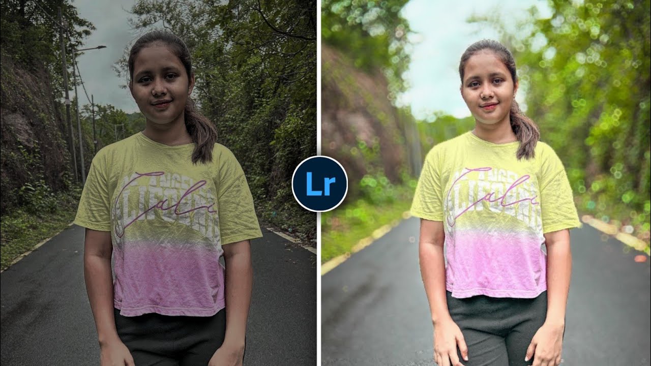 How To Blur Image Background In Lightroom | Background Blur Photo Editing In Lightroom