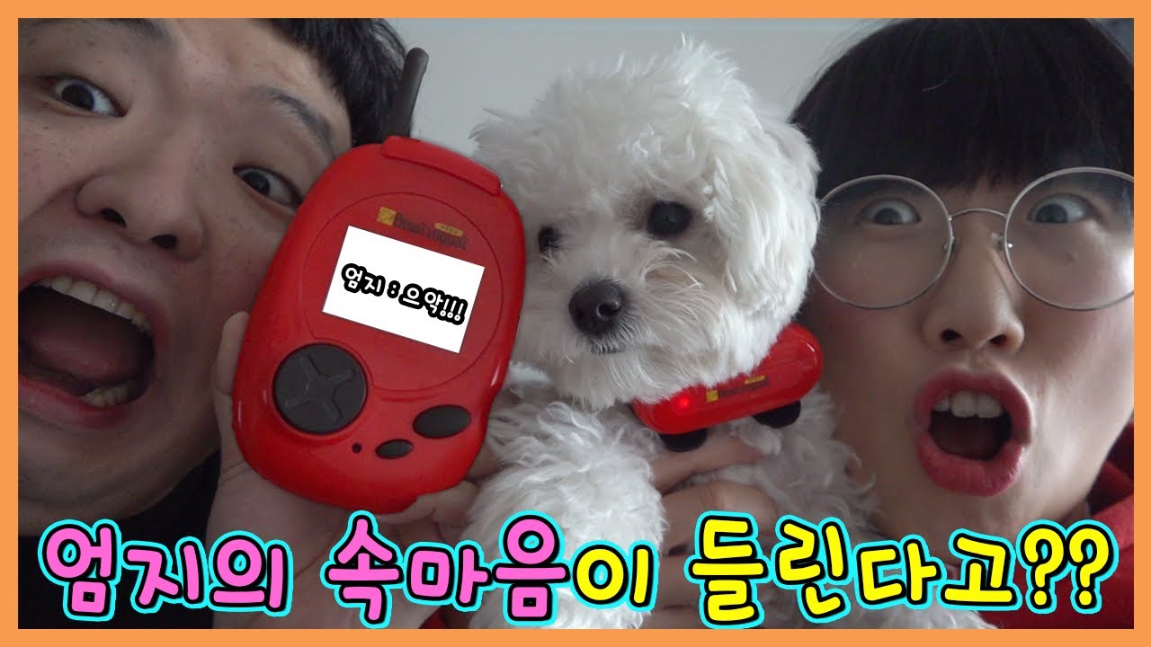 강아지 번역기로 엄지의 속마음을 들어 봤더니?ㅋㅋㅋ(흔한남매)