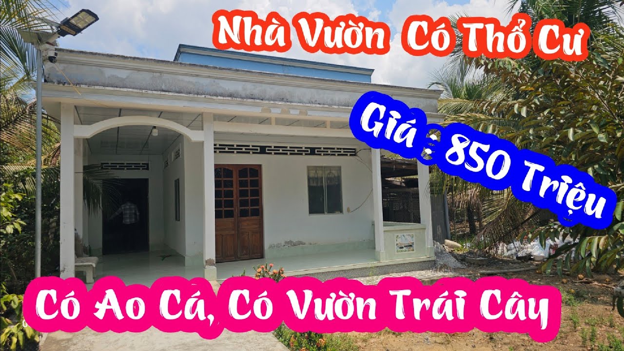 TẬP 2971:Nhà Vườn Có Thổ Cư, Có Vườn Trái Cây,Ao Nuôi Cá:25x26M2,Giá:850 Triệu