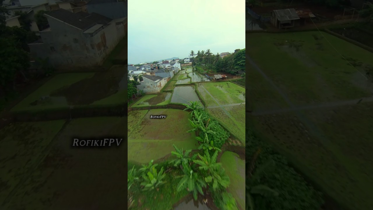 Sawah yang masih tersisa di Kota Cimahi #cinematic #dronefpv #dronefpvcinematic #rofikifpv