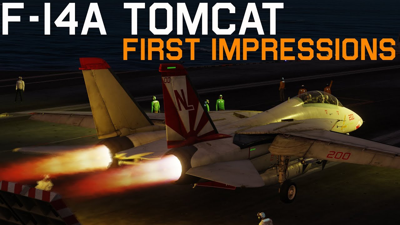DCS F-14A Tomcat First Flight & First Impressions!