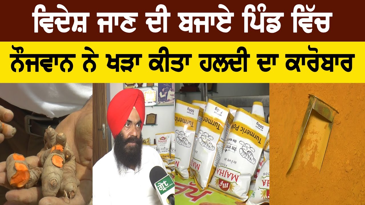 ਸਰਦਾਰ ਜੀ ਨੇ ਤਿਆਰ ਕੀਤੀ Organic  ਤੇਲ ਵਾਲੀ ਹਲਦੀ ,  ਪਰਾਲੀ ਨਾਲ ਤਿਆਰ ਕਰਦਾ ਹੈ ਹਲਦੀ