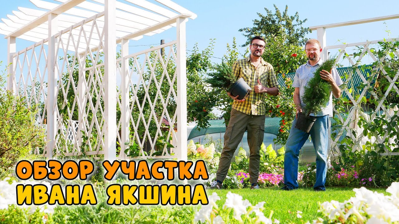 В гостях у Ивана Якшина. Участок, где есть всё!