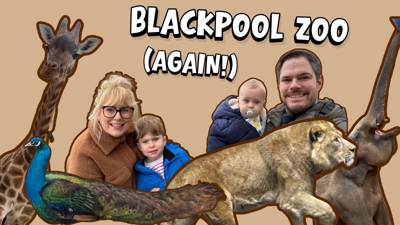 Blackpool Zoo (Again!)