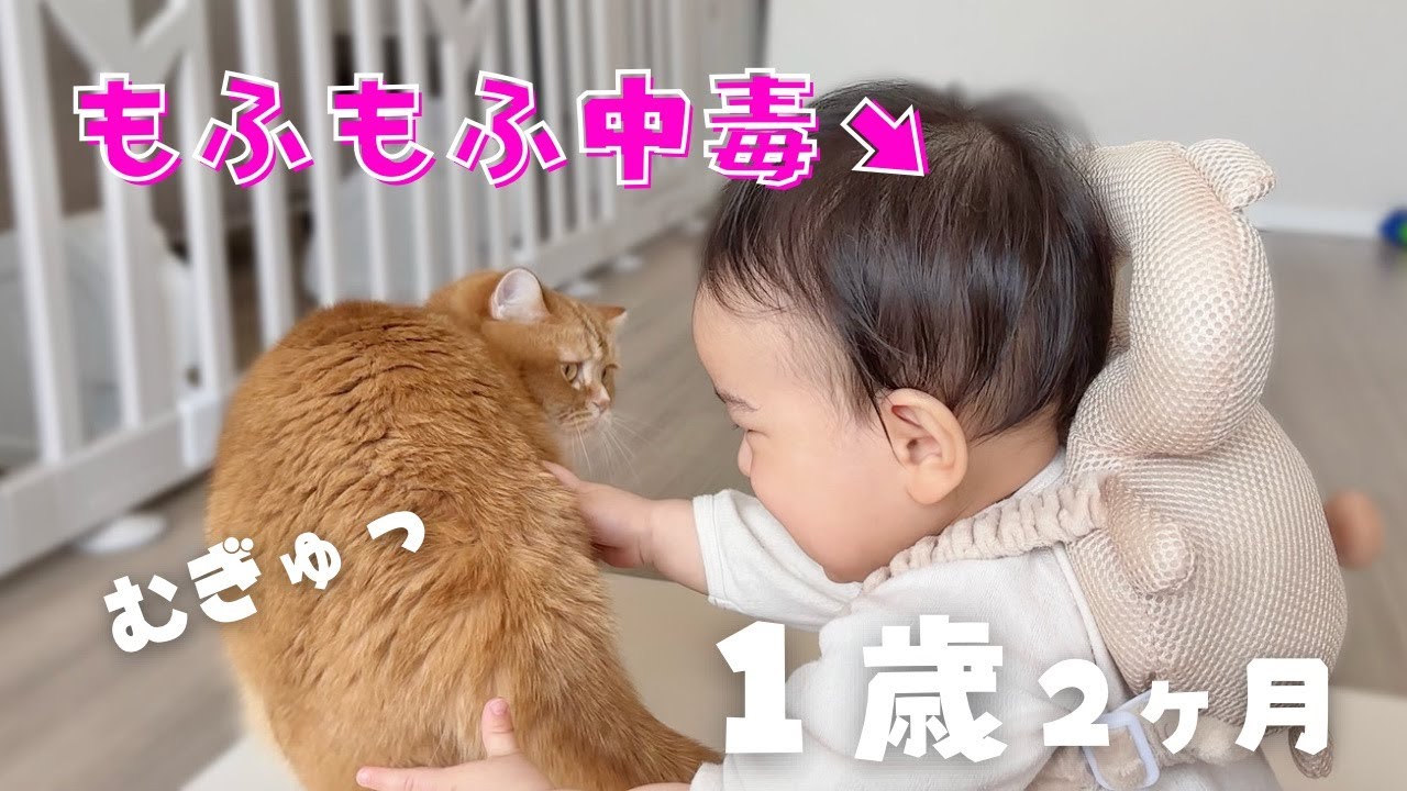 【愛が爆発！】優しく猫を触る赤ちゃんが愛おしすぎました&hellip;