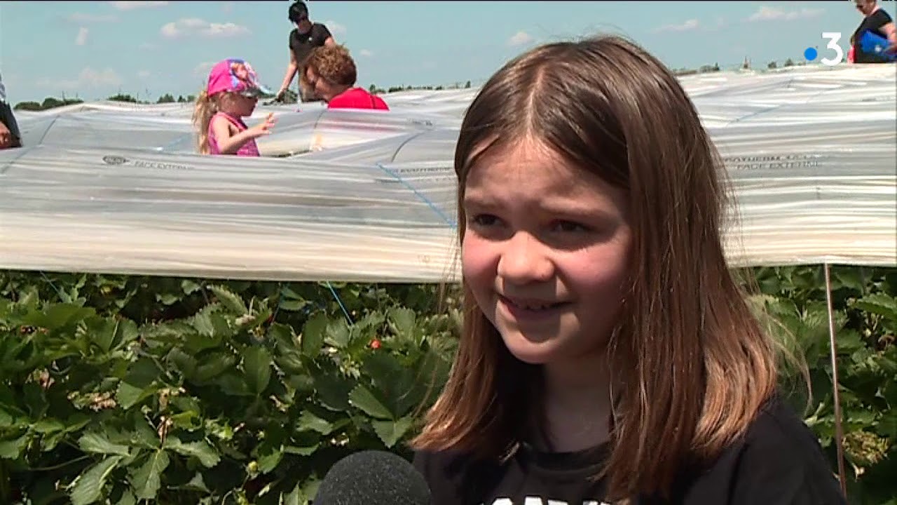 La cueillette &agrave; la ferme : c'est tendance et &eacute;colo