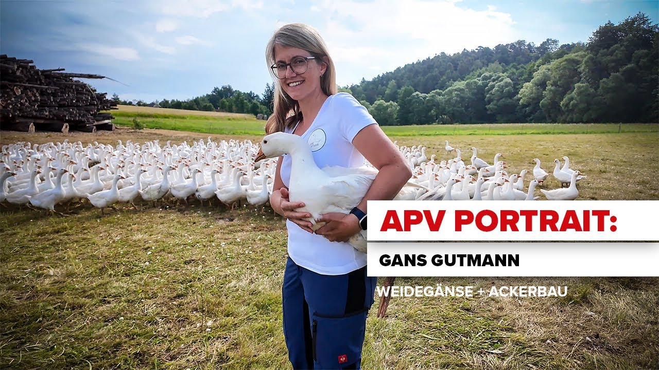 APV Portrait: Weidegans-Betrieb 