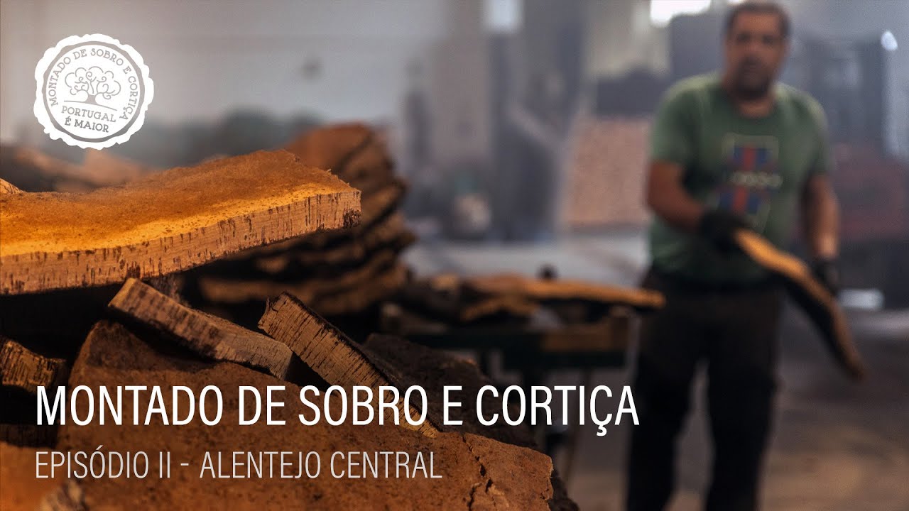 Alentejo Central - Montado de Sobro e Cortiça