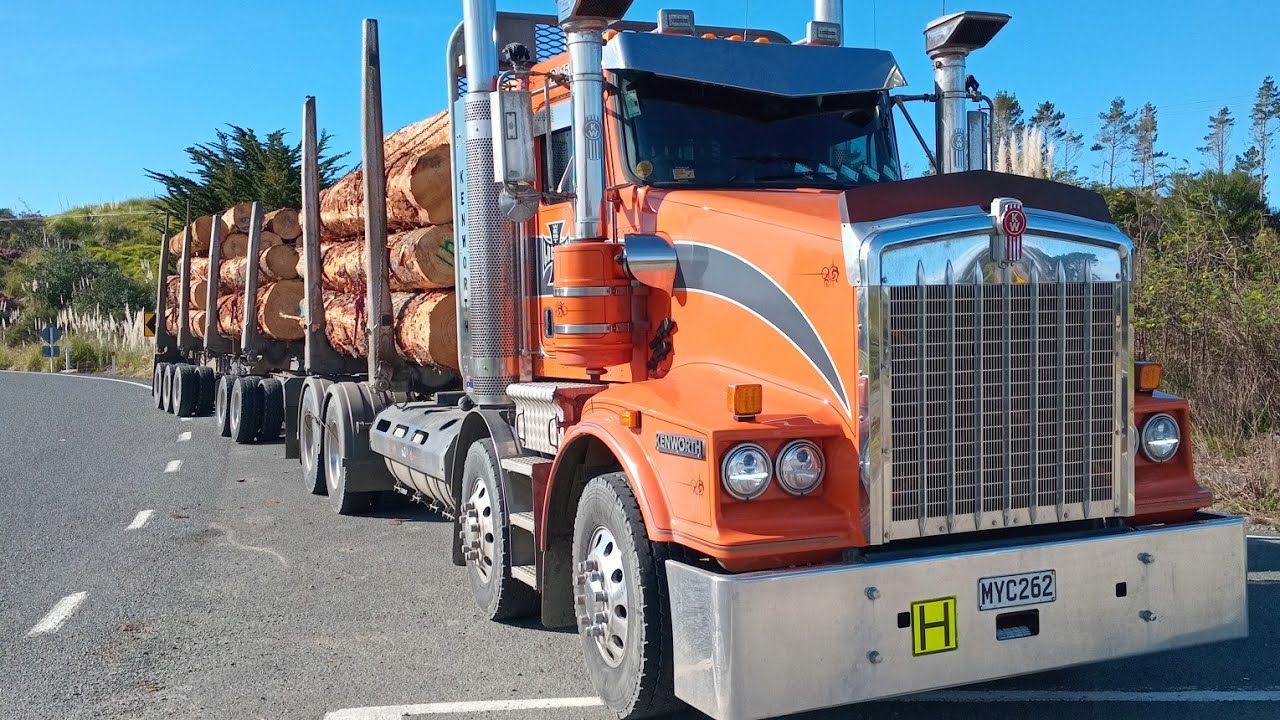 Kenworth 659 hauling out of the bush.#northland  newzealand