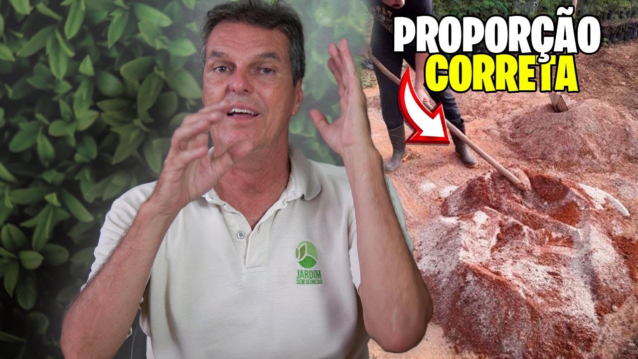 PROPORÇÃO CORRETA de AREIA e TERRA PARA PLANTAR GRAMA !