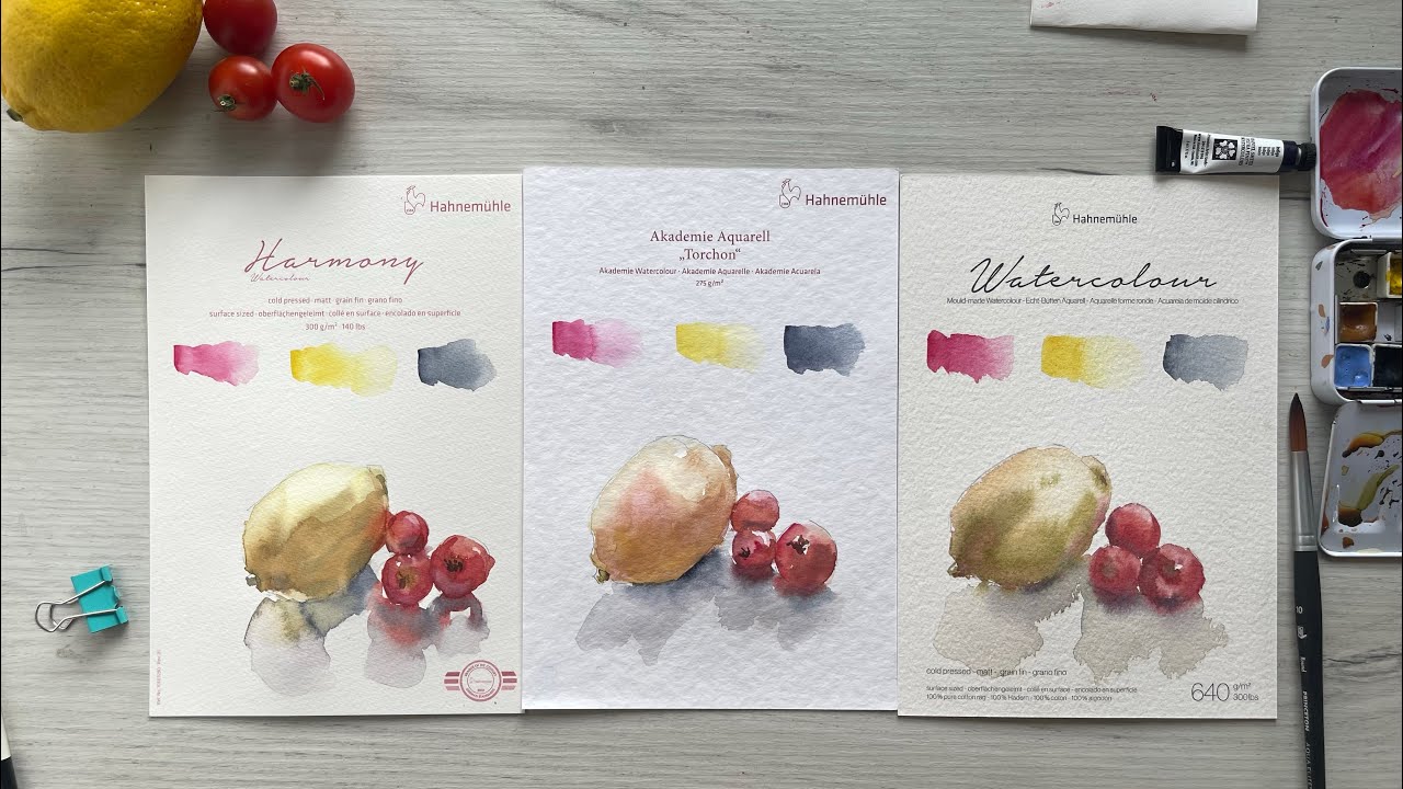 Paper Matters: How to Choose Watercolor Paper✨ Testing Hahnemühle Paper — Cotton vs Cellulose