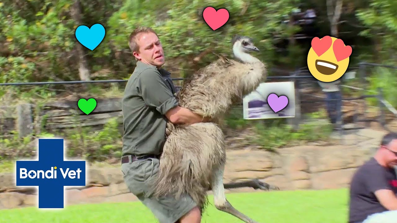 Who Knew Emus Were So CUDDLY?! 🤗 | Full Episode | The Wild Life of Tim Faulkner
