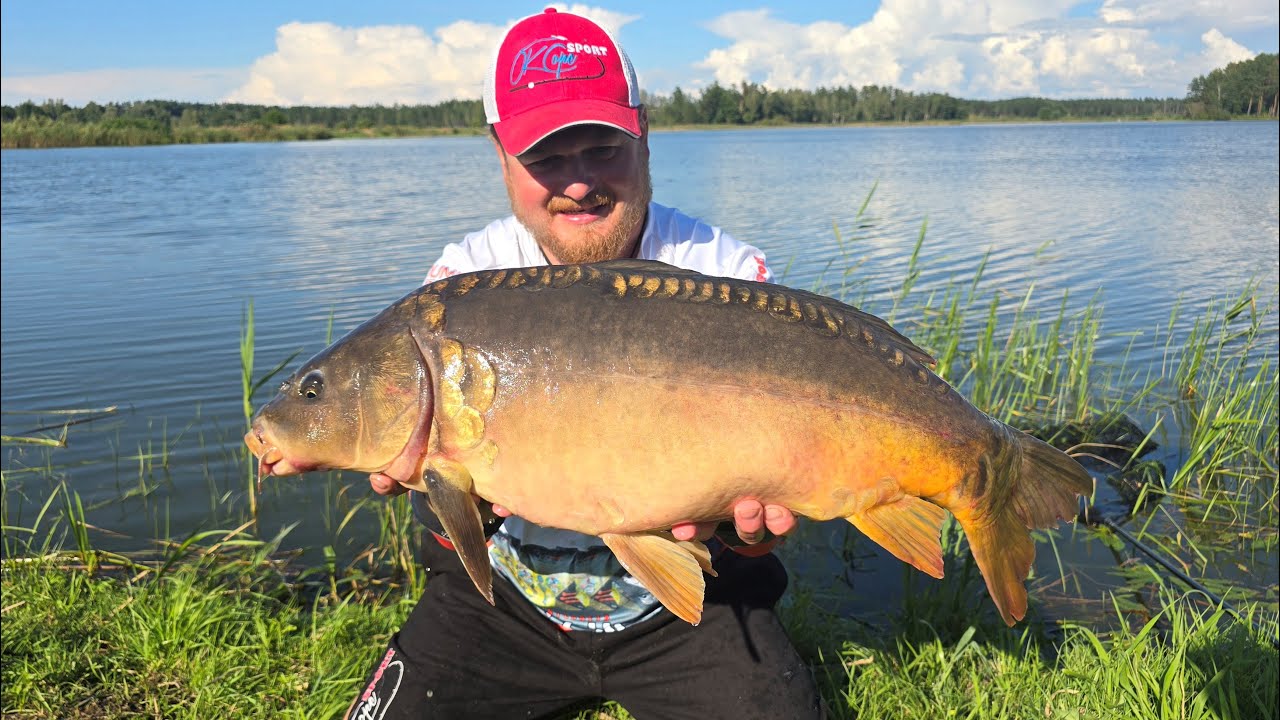 42 stundu Karpu copes sesija. Method feeder VS Clasics. Alberta Jaunais Dīķis