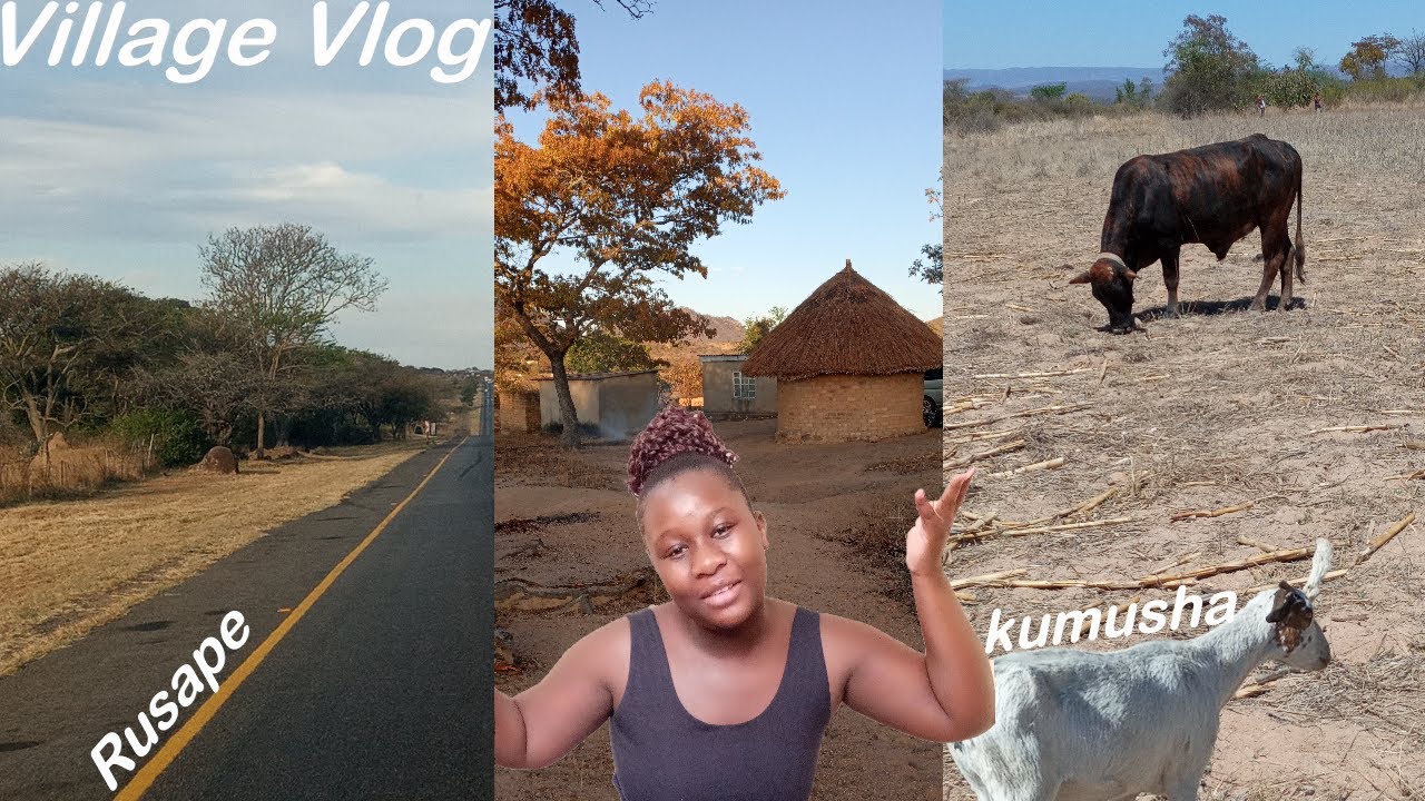 vlog:Traveling To CHIENDAMBUYA RUSAPE VILLAGE + preps and Tombstone Unveiling ceremony #villagevlog