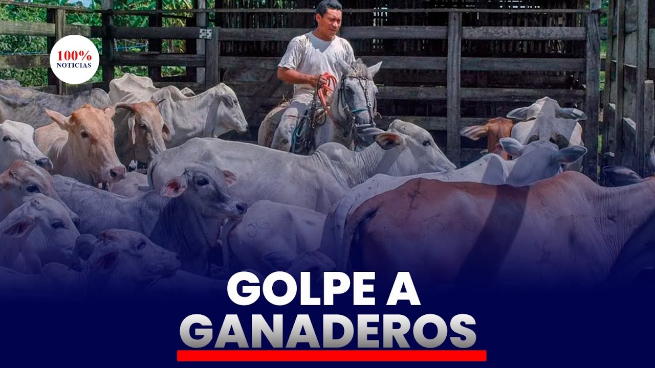 Alcaldías imponen nuevos cobros a ganaderos