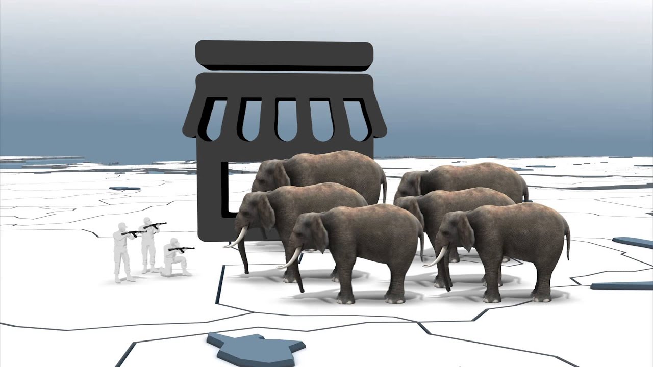 Elephant poaching: 100,000 African elephants were killed within 3 years for ivory