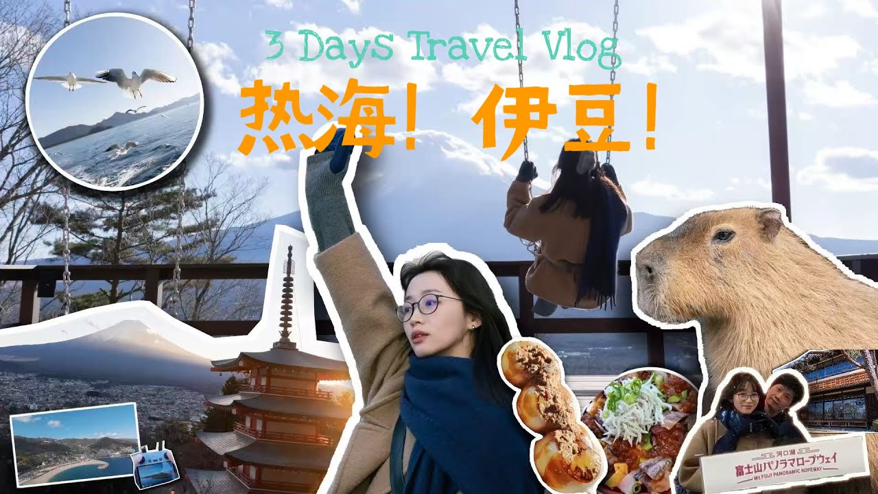 日本游记｜3天2晚热海伊豆怎么玩？看着一篇就够了！看富士山不一定要去河口湖，看卡皮吧啦一定要去伊豆仙人掌公园！