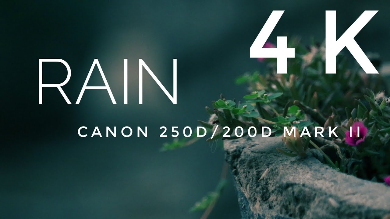 RAIN (widescreen 4k) l canon 200d mark ii /250d cinematic video test 4k