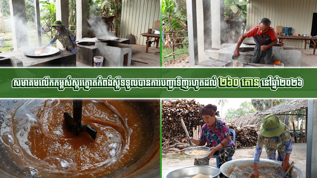 សមាគមលើកកម្ពស់ស្ករត្នោតកំពង់ស្ពឺទទួលបានការបញ្ជាទិញរហូតដល់ ២៦០តោន នៅឆ្នាំ២០២៦