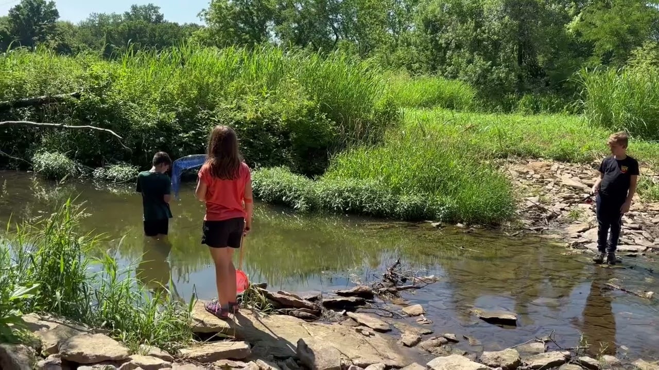 Creek fishing