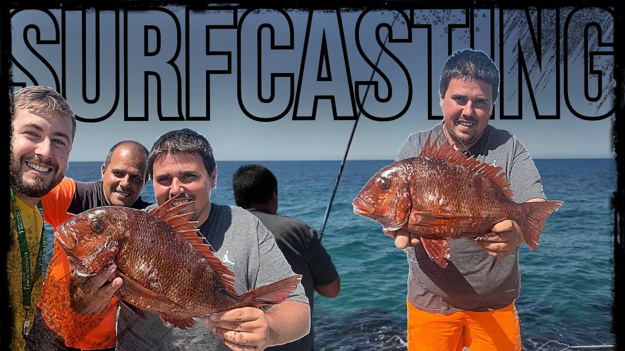 JORNADON SURFCASTING con URTA XXL  al CANGREJO